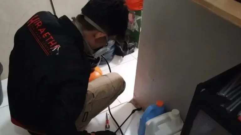 pest control kecoak
