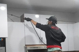 jasa anti rayap
