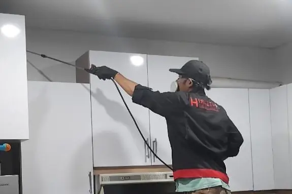 jasa anti rayap